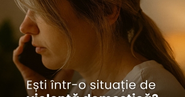 Proiect in derulare de test