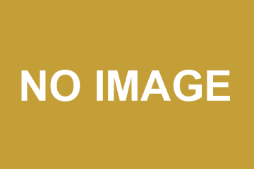 Alegeri Locale 2020
